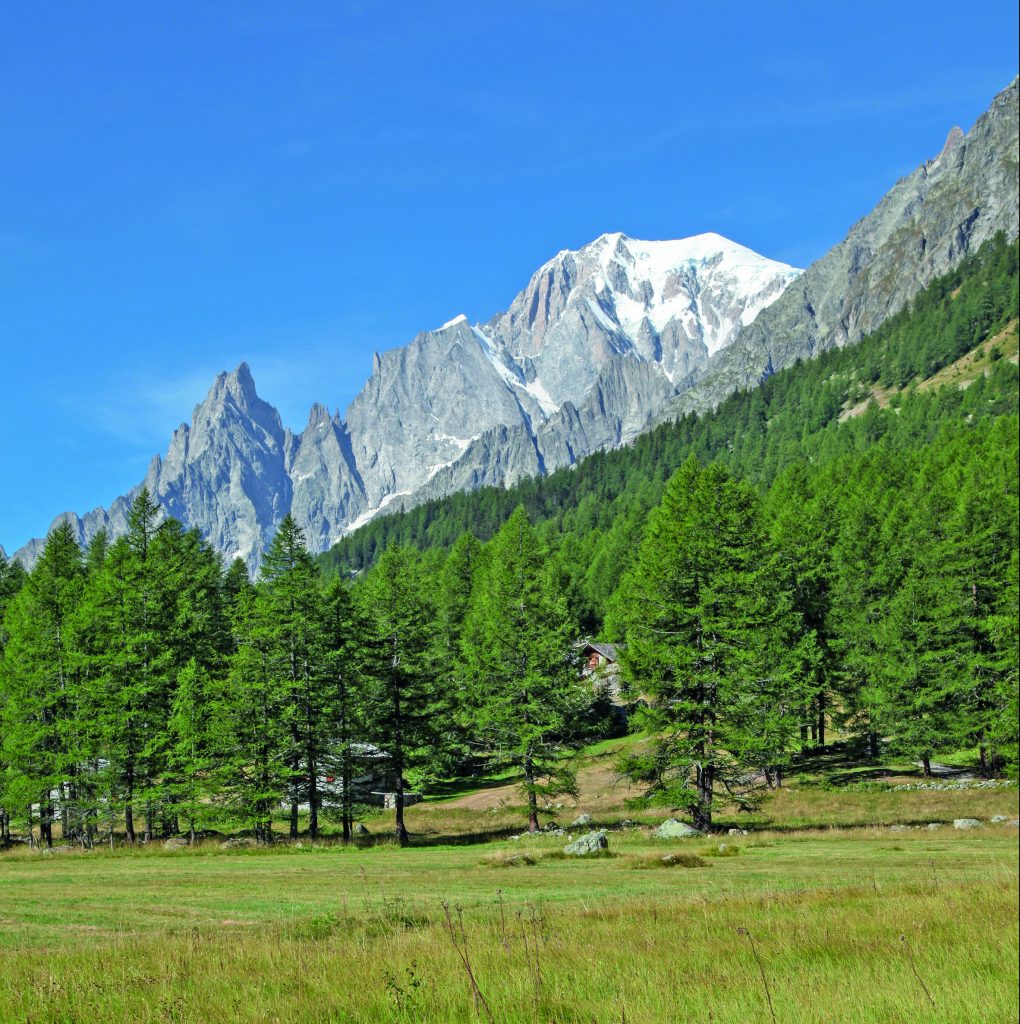 Vacanza a Courmayeur “a sei zampe”