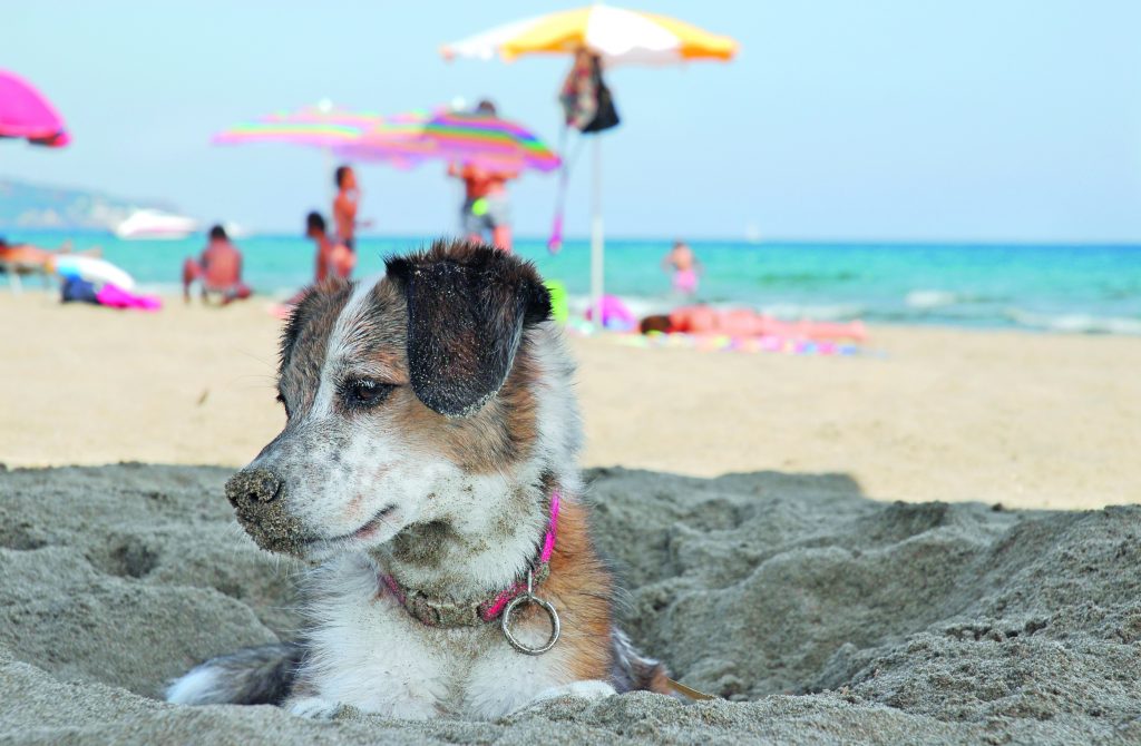 Tutti al mare e al lago!