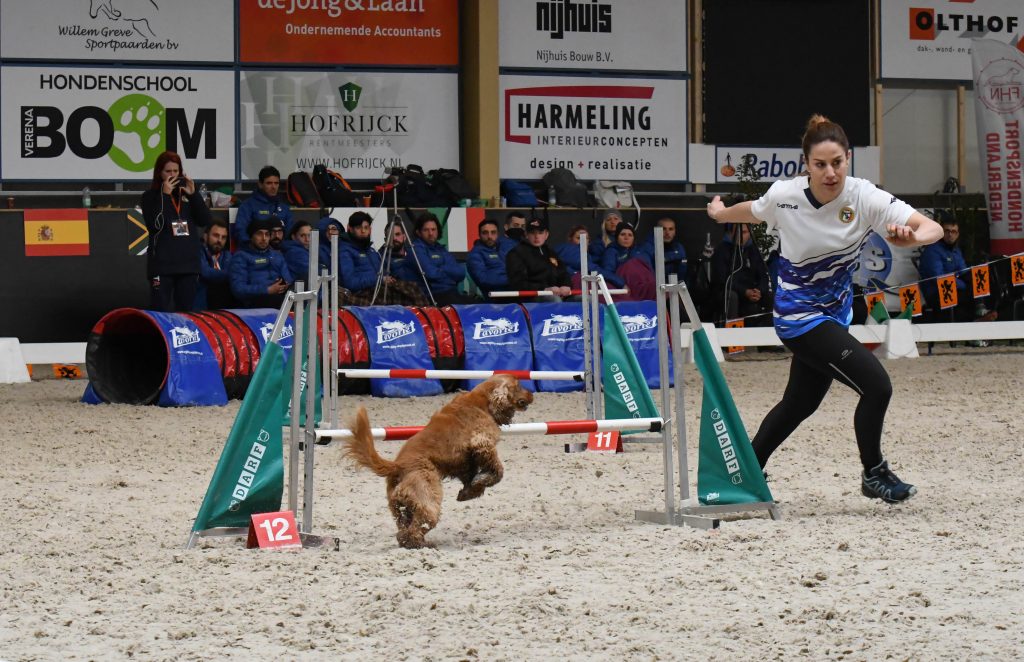 Successo per gli Azzurri ai Mondiali di Agility Dog in Olanda