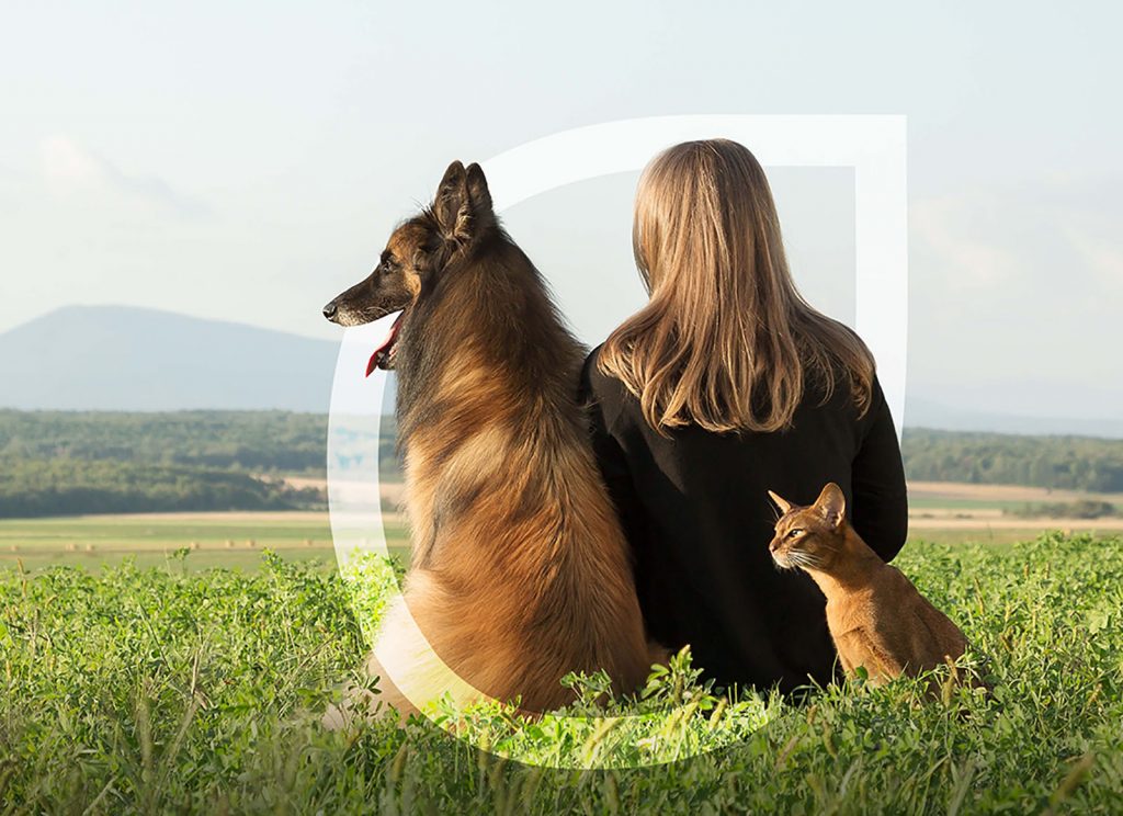 Cani e gatti, tre nuove ricette monoproteiche per vivere meglio