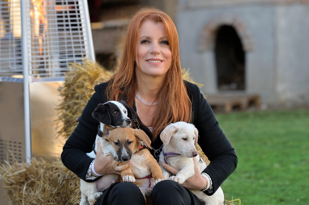 Animali di famiglia: proposta di legge per tutelare i nostri pet