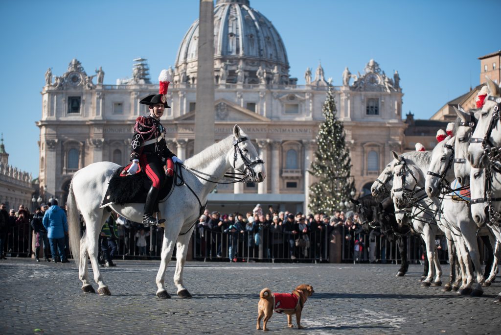 briciola mascotte carabinieri