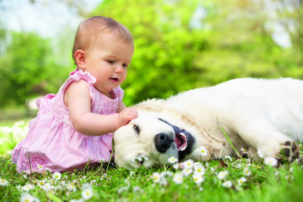 convivenza-cane-e-bambino