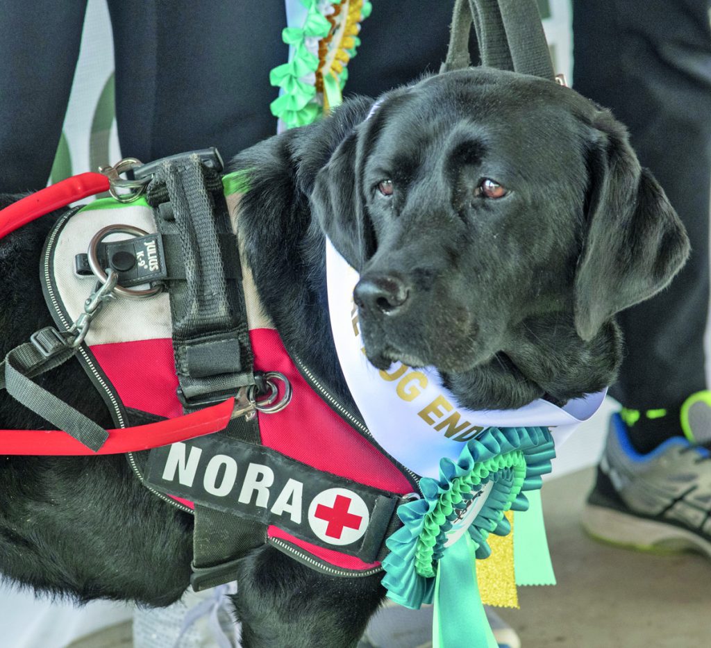 Una amicizia ad occhi chiusi con il cane-guida Nora