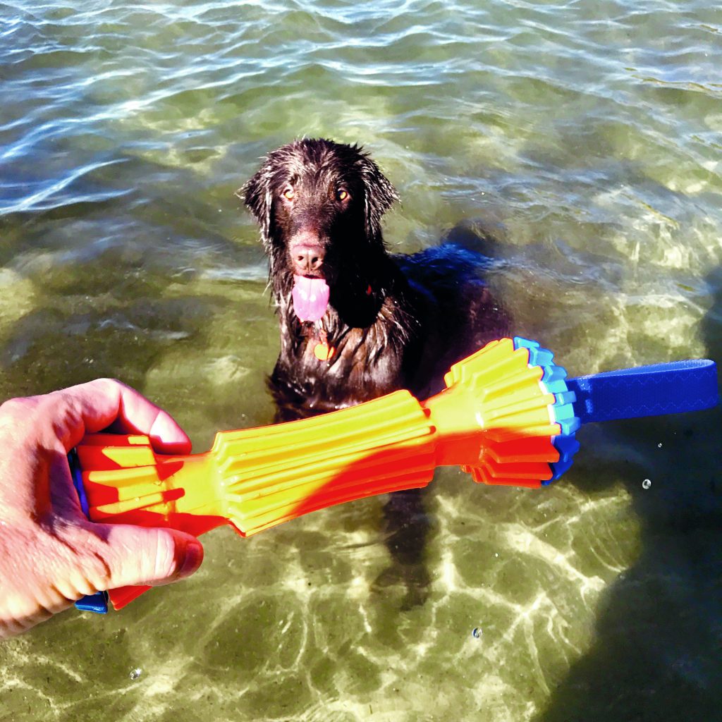 in spiaggia con il cane: il ruolo dei giochi da condividere
