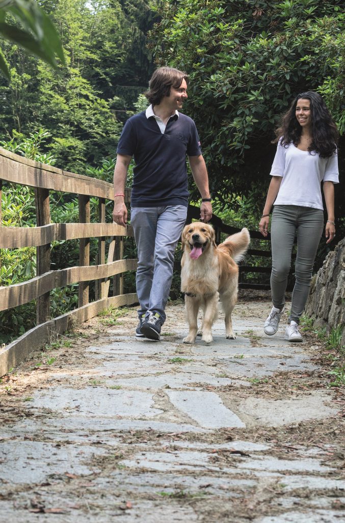 Dog-trekking all’Oasi Zegna: la passeggiata con il cane