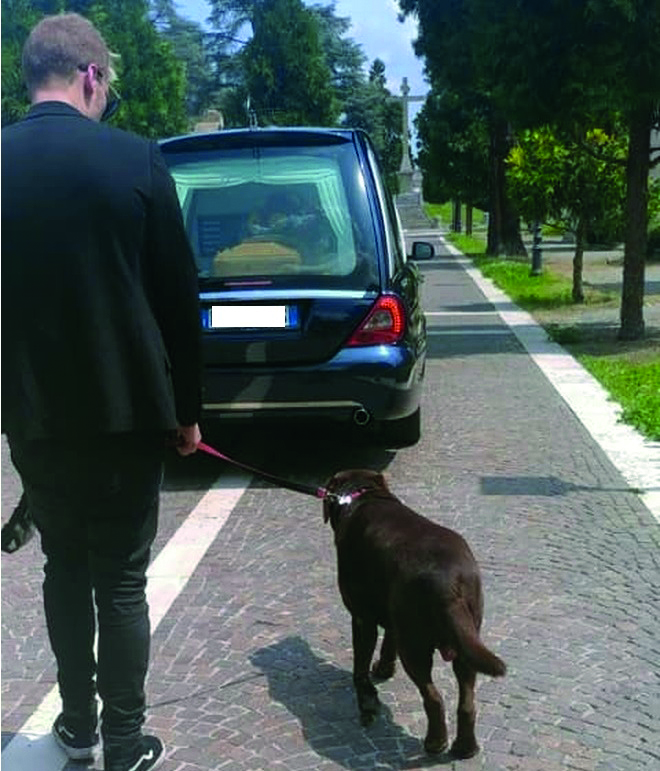 Attesa per l'eternità: storie di cani e di padroni defunti