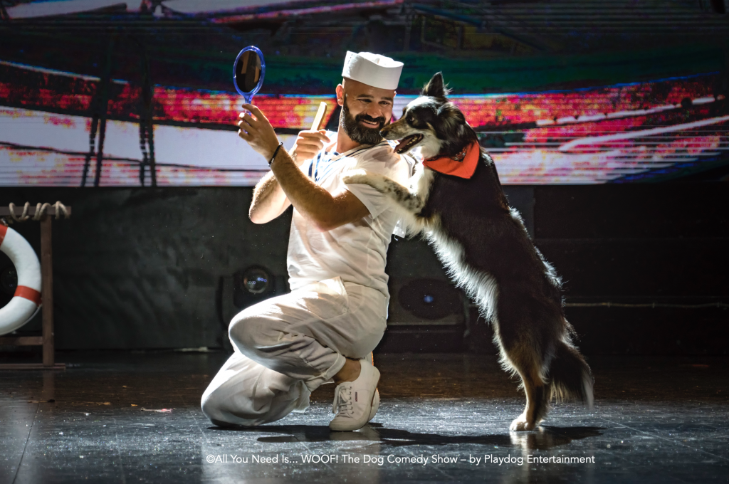 Arriva "All you need is... woof!", la commedia con i cani attori