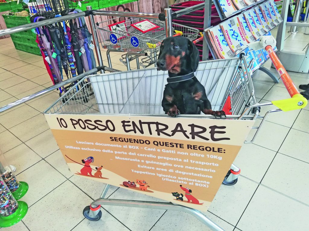 Con il cane a fare la spesa alla Conad - Quattro Zampe