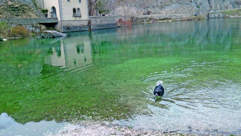 Il lago di San Domenico, paradiso pet friendly