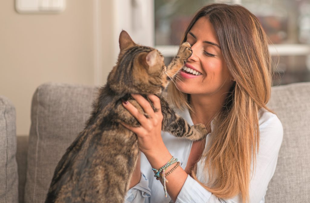 Chiamo il mio gatto ma lui mi ignora: il comportamento dei gatti