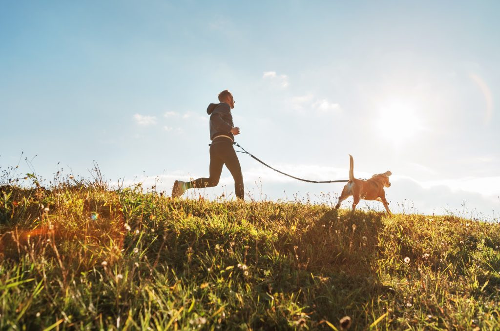 Canicross: la giusta attrezzatura per praticarlo con il tuo cane