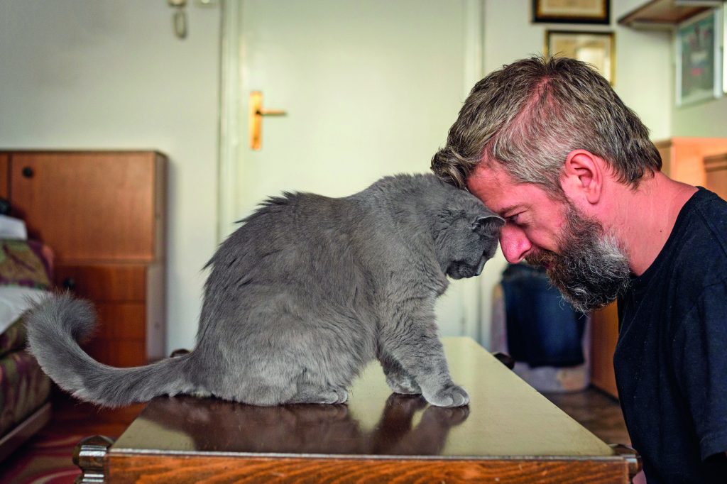 Chiamo il mio gatto ma lui mi ignora: il comportamento dei gatti