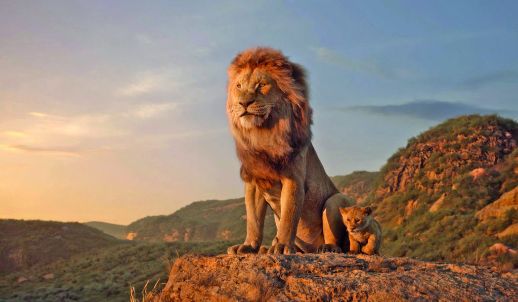 Il film "Il Re Leone" aiuterà i leoni africani