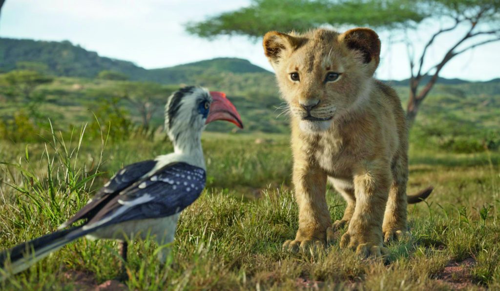Il film "Il Re Leone" aiuterà i leoni africani