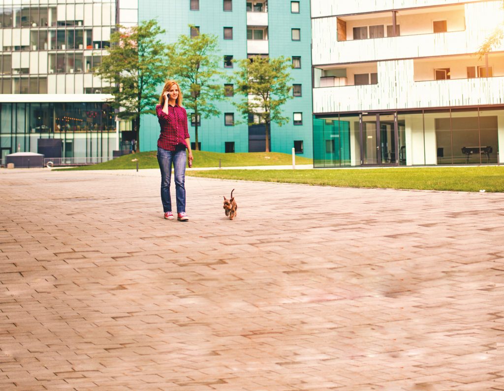 Vivere in condominio con un cane