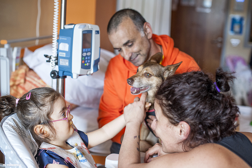 Pet therapy con i bambini: sempre più utilizzata ed efficace