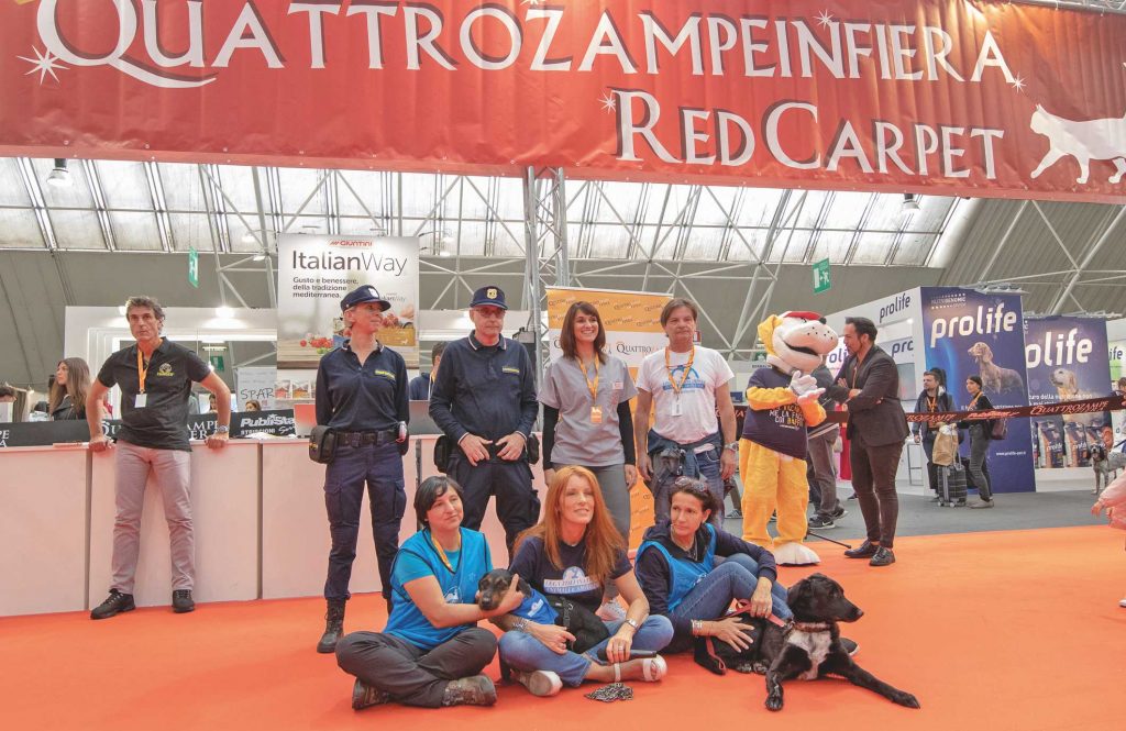 Poldo, la star di QuattroZampeinFiera 2019