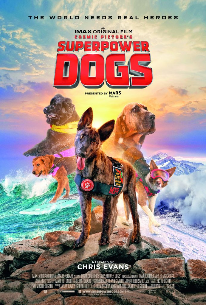 Il cane Reef è uno dei Superpower dogs