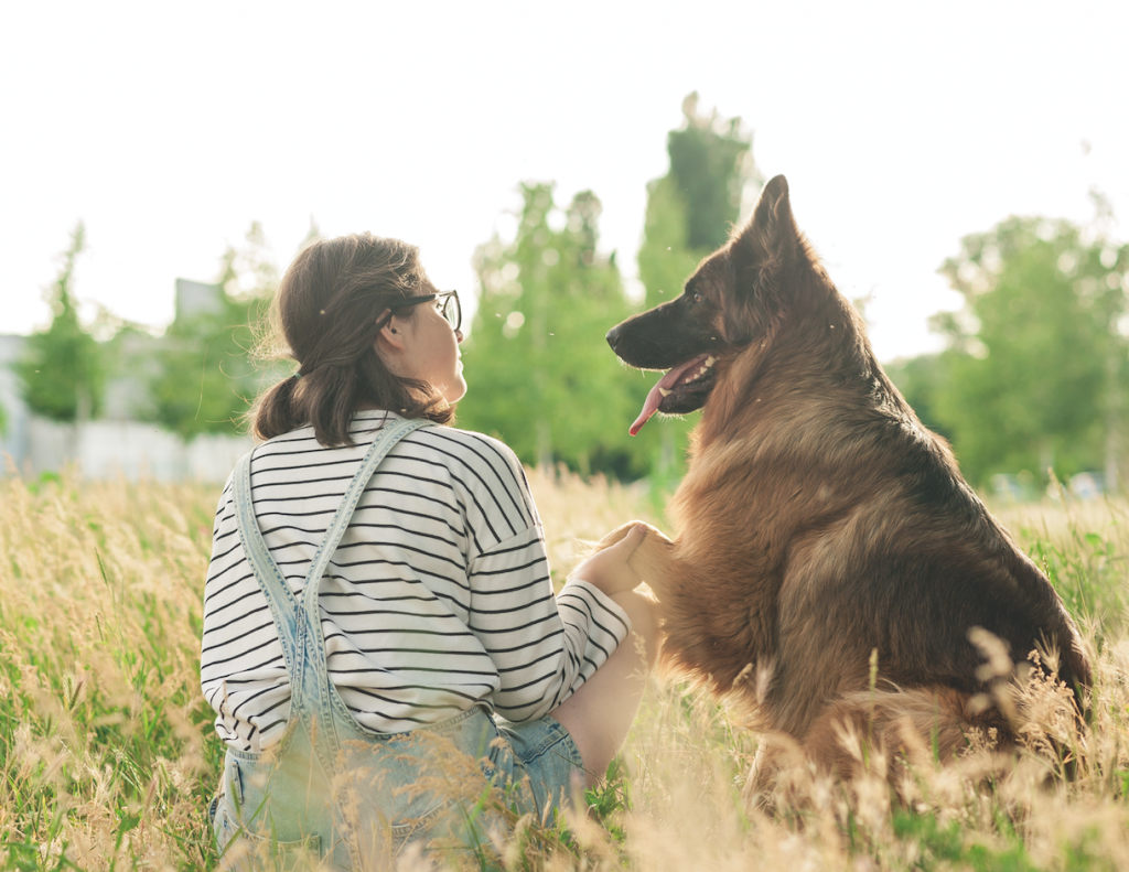 Il benessere dei cani di grossa taglia parte dalla ciotola