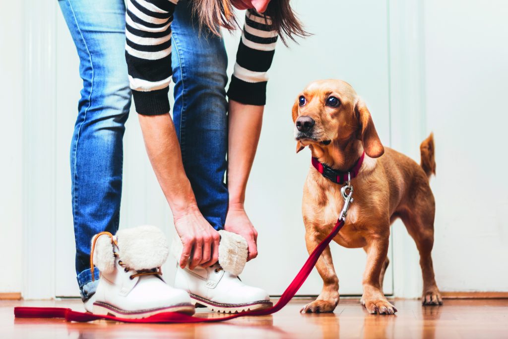 Passeggiare col cane ci rende felici