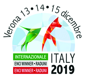 Enci Winner 2019