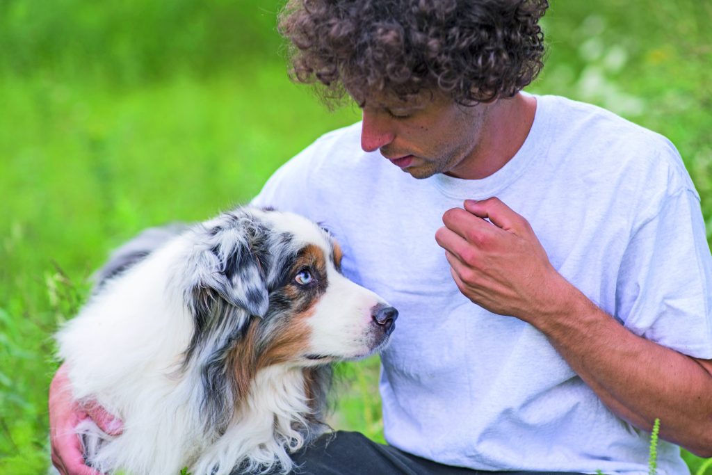 Se il cane abbaia agli altri cani