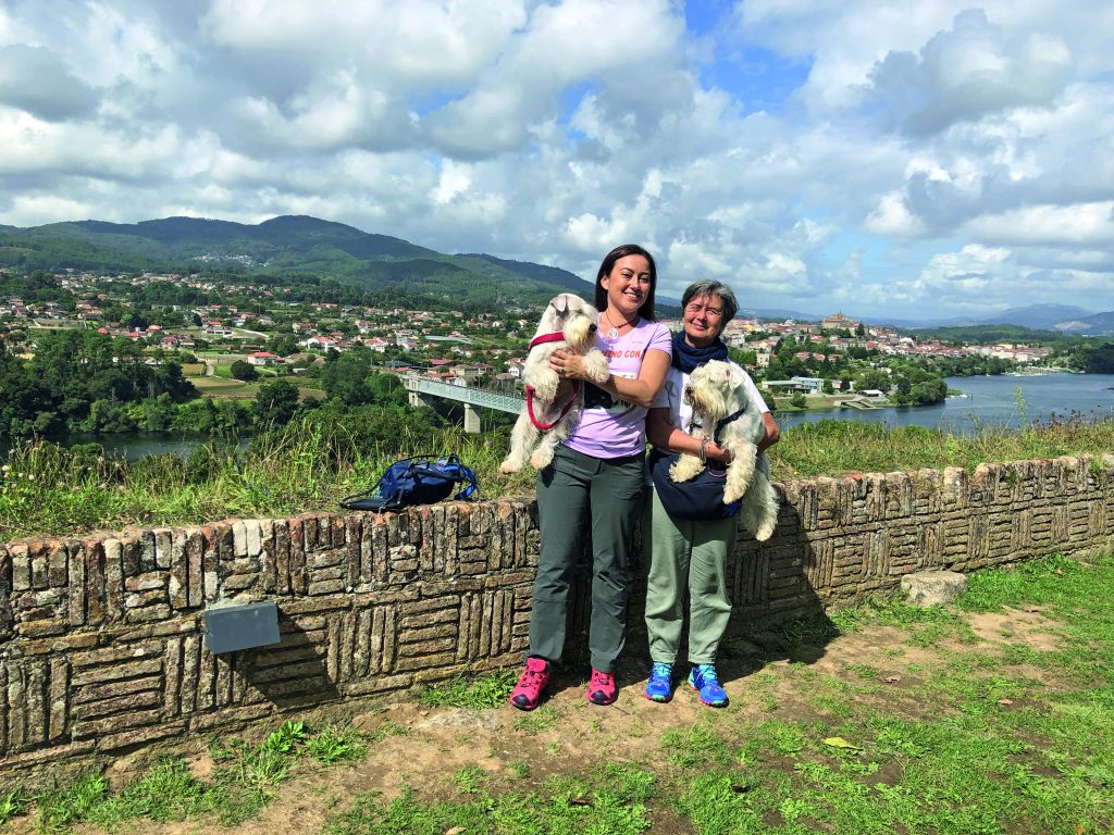 Il cammino di Santiago con il cane Darvin