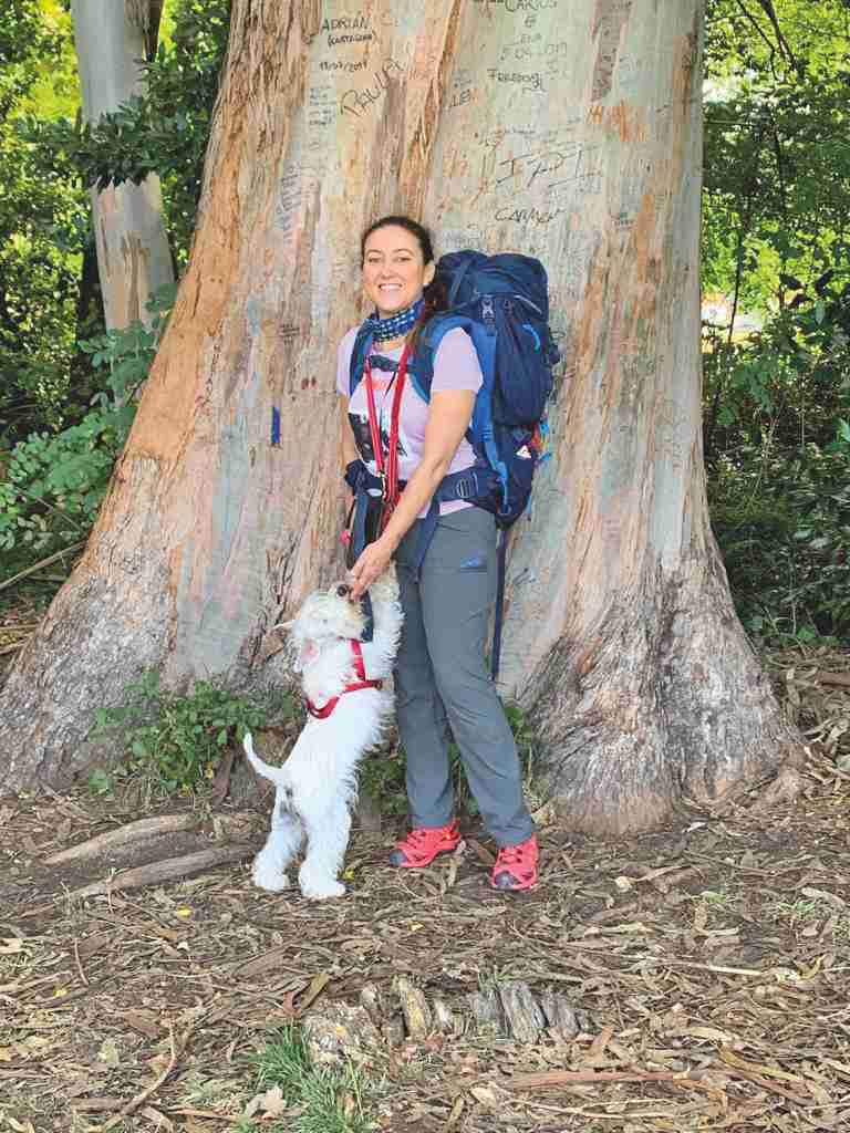 Il cammino di Santiago con il cane Darvin