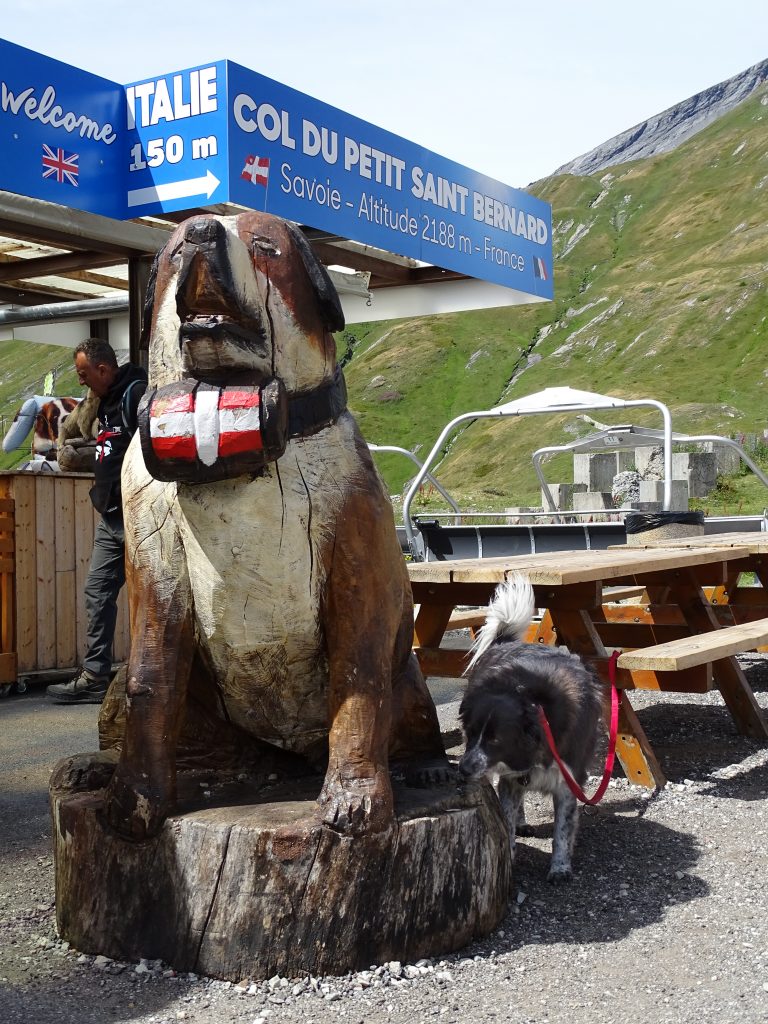 Transalp a sei zampe con Opi sull'Alta Via del Sale