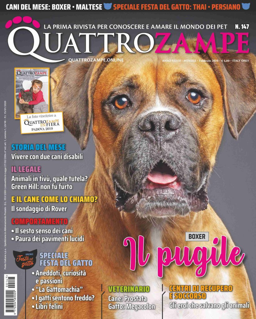 È in edicola il numero di febbraio 2020 di Quattrozampe