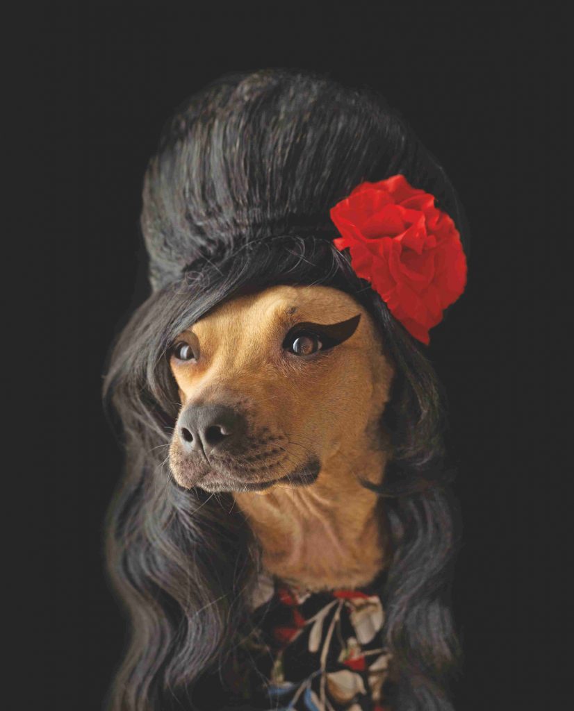 Ritratti “da cani” per il calendario solidale che aiuta i pelosi in attesa di adozione