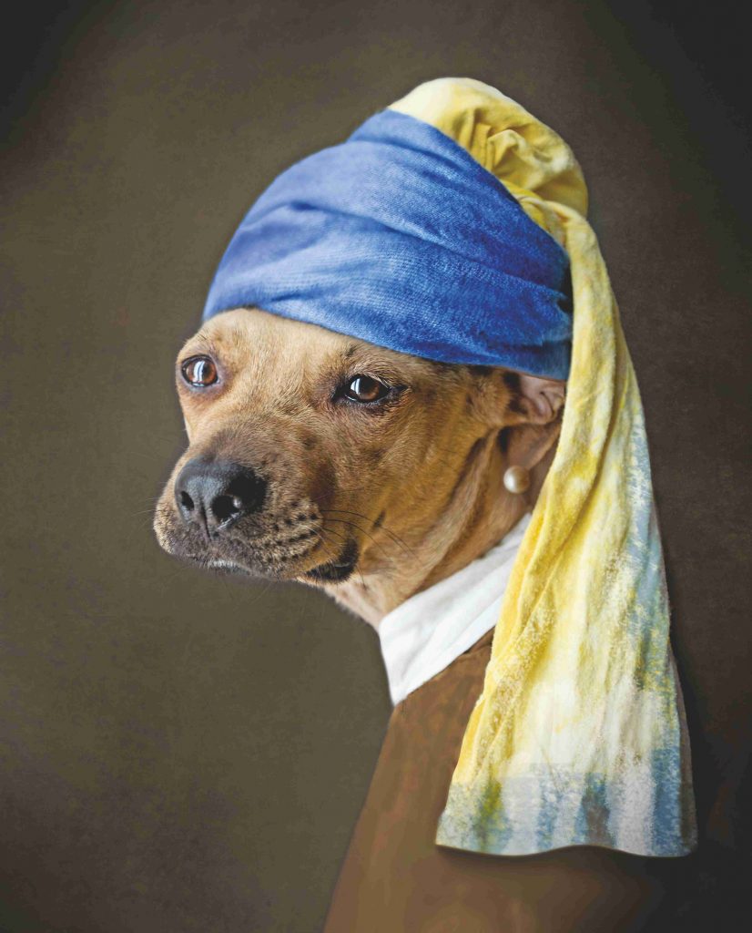 Ritratti “da cani” per il calendario solidale che aiuta i pelosi in attesa di adozione