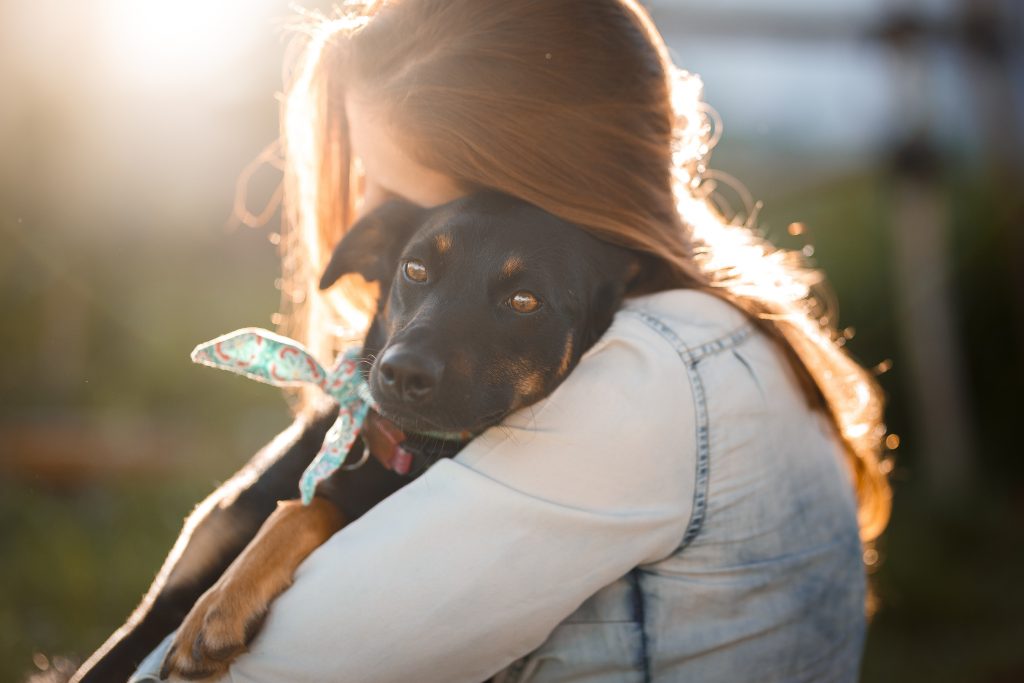 Adotta un cane presso il Gruppo Animalista dei Castelli Romani