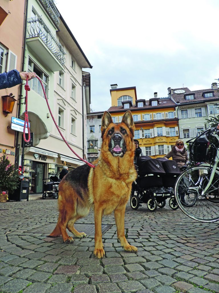 Bolzano: la città in mezzo ai monti