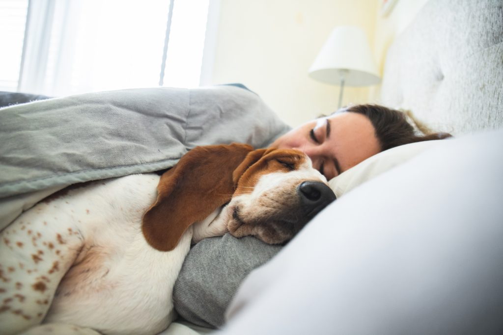 Animali: un italiano su cinque si sente più compreso dal pet