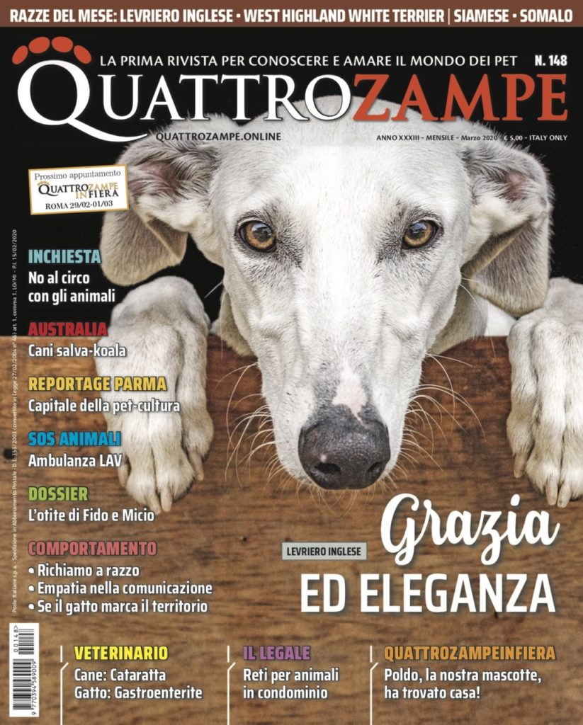 È in edicola il numero di marzo 2020 di Quattrozampe