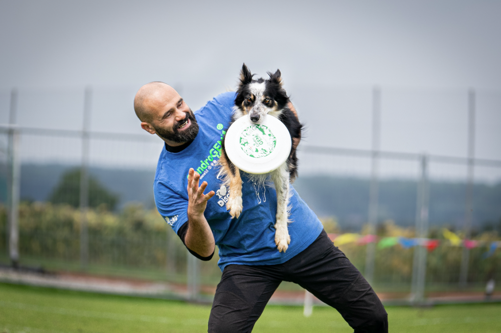 La salute articolare dei cani sportivi