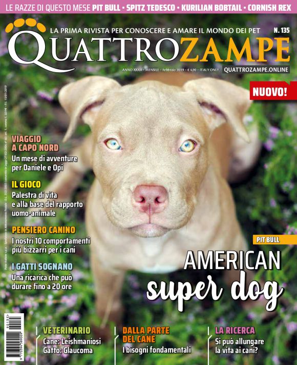 È in edicola il numero di febbraio 2019 di Quattrozampe