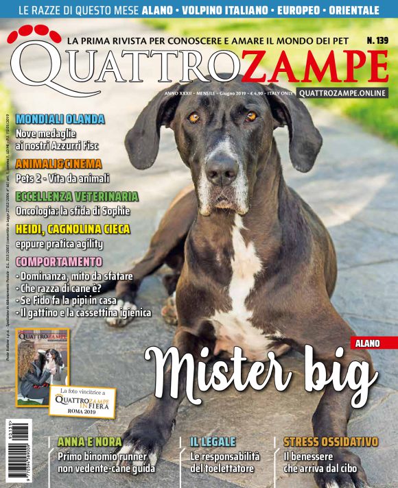 È in edicola il numero di giugno 2019 di Quattrozampe