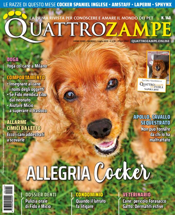 È in edicola il numero di luglio 2019 di Quattrozampe