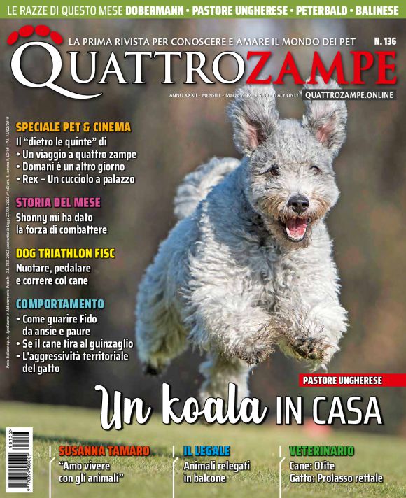 È in edicola il numero di marzo 2019 di Quattrozampe