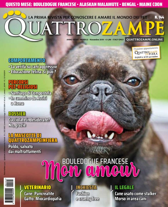 È in edicola il numero di novembre 2019 di Quattrozampe