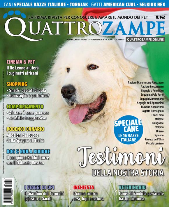 È in edicola il numero di settembre 2019 di Quattrozampe