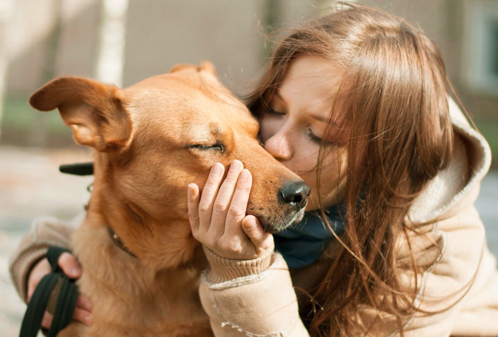 Parassiti in emergenza Covid 19, proteggiamo il nostro cane anche per brevi passeggiate