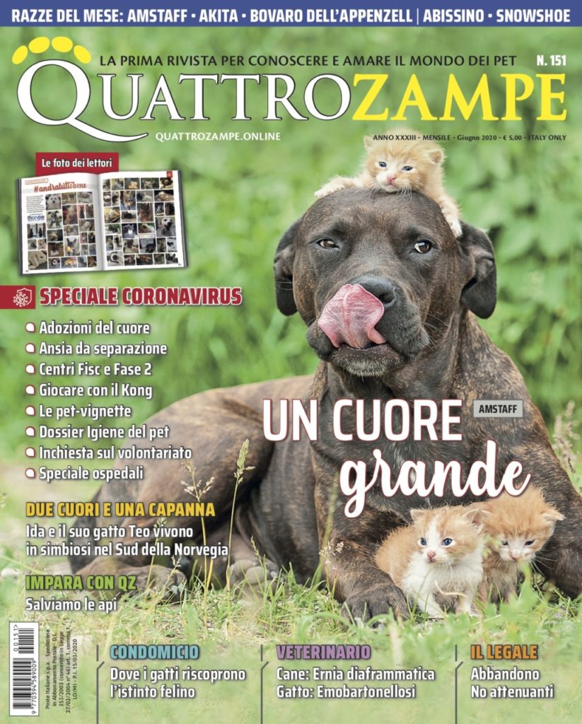 Copertina Rivista Quattro Zampe Giugno 2020