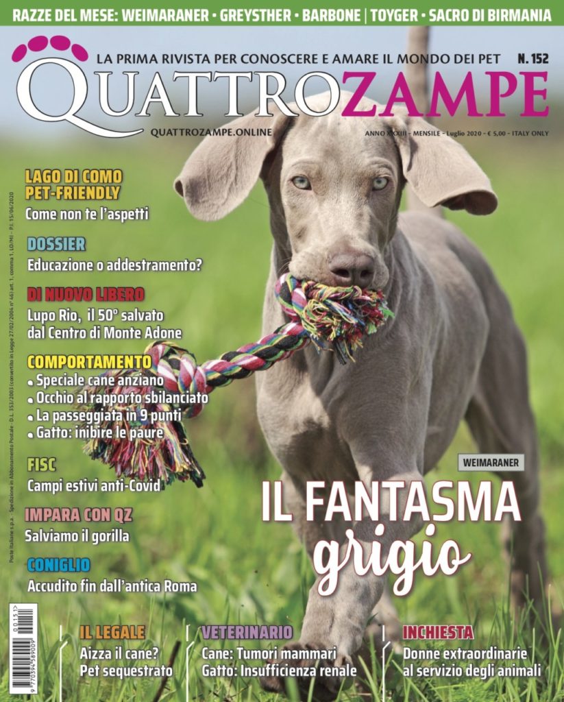 È in edicola il numero di luglio 2020 di Quattrozampe