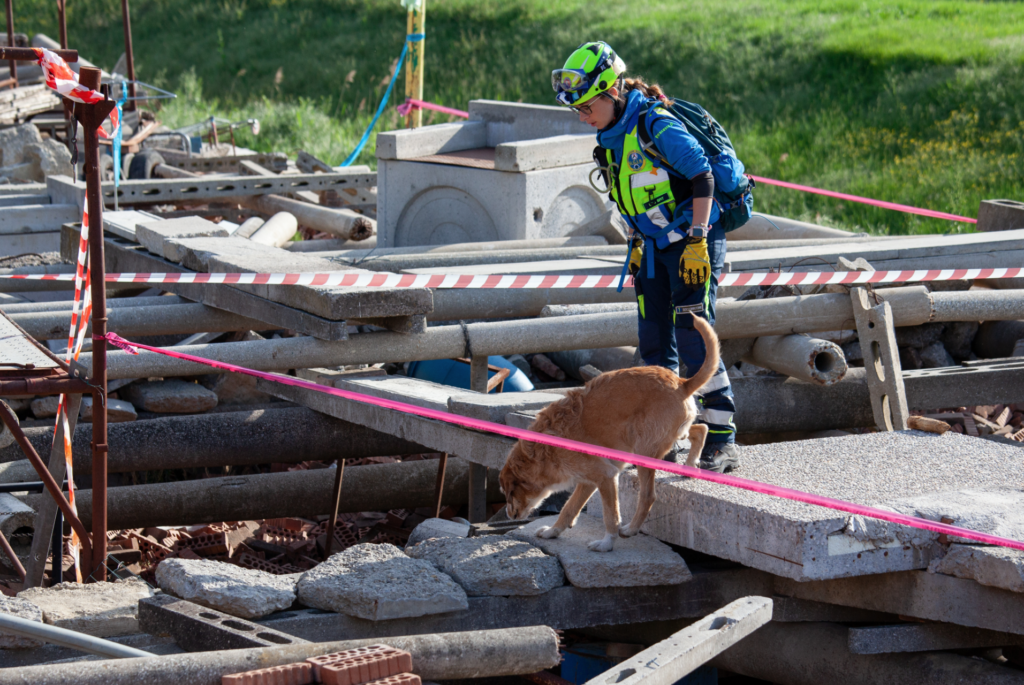 Unità Cinofile Italiane da Soccorso, ecco i nostri eroi a quattro zampe