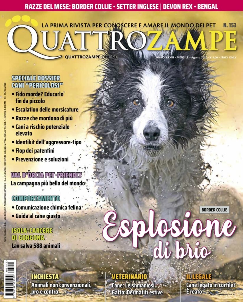 È in edicola il numero di agosto 2020 di Quattrozampe