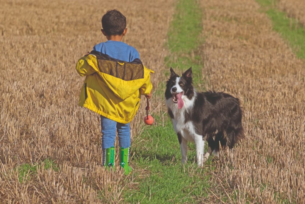 Campi estivi e “Outdoor Education”